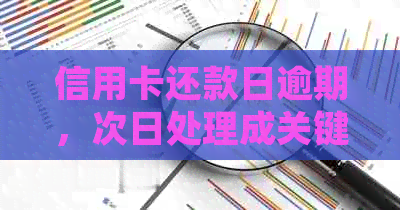 信用卡还款日逾期，次日处理成关键