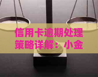 信用卡逾期处理策略详解：小金额逾期如何应对与预防