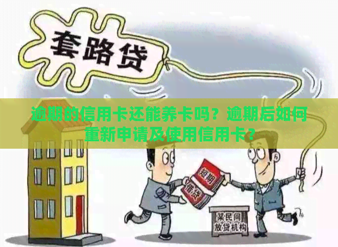 逾期的信用卡还能养卡吗？逾期后如何重新申请及使用信用卡？