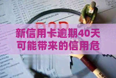 新信用卡逾期40天可能带来的信用危机及应对策略