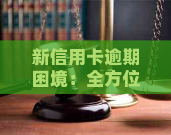 新信用卡逾期困境：全方位自救指南及解决方案