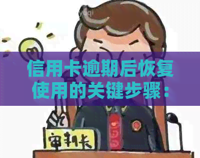 信用卡逾期后恢复使用的关键步骤：如何解决停用问题