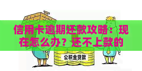 信用卡逾期还款攻略：现在怎么办？还不上款的解决办法！