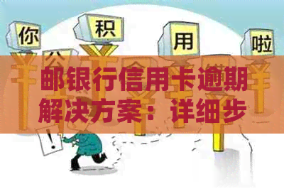 邮银行信用卡逾期解决方案：详细步骤与建议