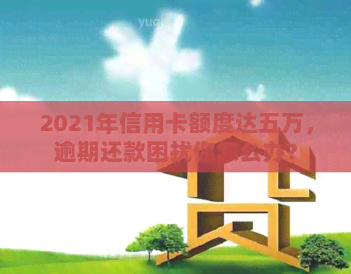 2021年信用卡额度达五万，逾期还款困扰你怎么办？