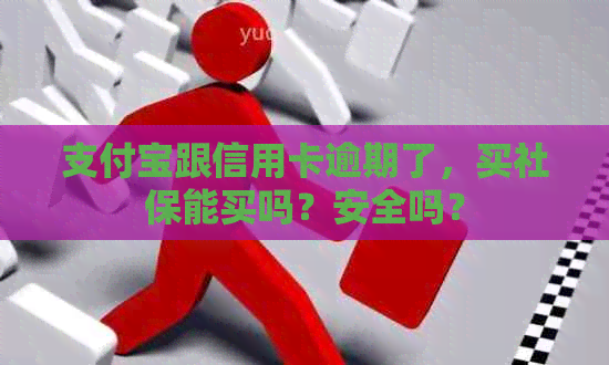 支付宝跟信用卡逾期了，买社保能买吗？安全吗？