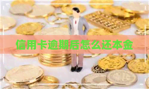 信用卡逾期后怎么还本金