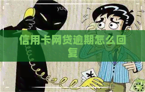 信用卡网贷逾期怎么回复