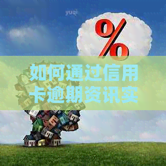 如何通过信用卡逾期资讯实现风险管理与收益更大化？