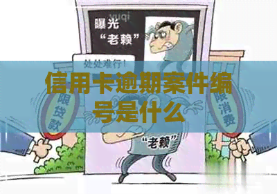 信用卡逾期案件编号是什么