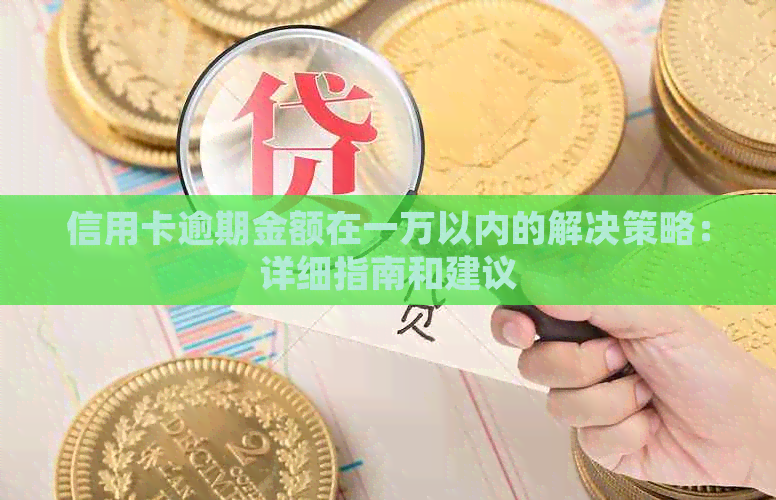 信用卡逾期金额在一万以内的解决策略：详细指南和建议