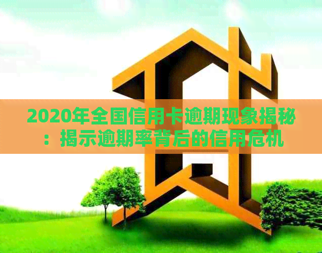 2020年全国信用卡逾期现象揭秘：揭示逾期率背后的信用危机