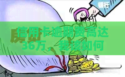 信用卡逾期费高达36万，我该如何应对和解决这个问题？