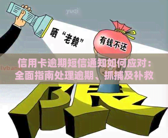 信用卡逾期短信通知如何应对：全面指南处理逾期、抓捕及补救方案