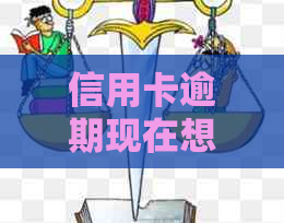 信用卡逾期现在想还款不了怎么办呀，欠信用卡逾期确实没能力还怎么办。