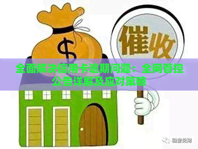 全面解决信用卡逾期问题：全网管控公告详解及应对策略