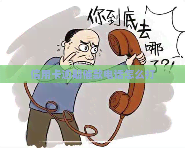 信用卡逾期催款电话怎么打