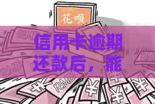 信用卡逾期还款后，能否使用贷款购买车辆？