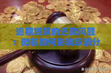 逾期贷款的还款问题：微粒如何影响取消分期付款