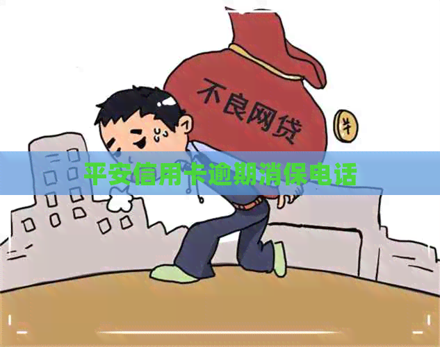 平安信用卡逾期消保电话