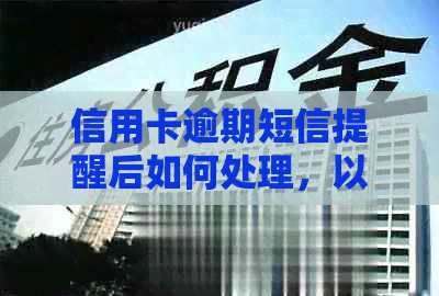 信用卡逾期短信提醒后如何处理，以及相关应对策略详解