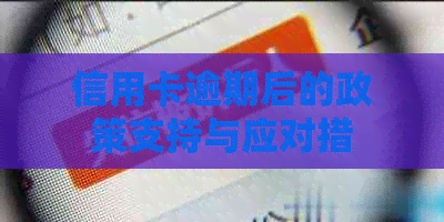 信用卡逾期后的政策支持与应对措