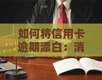 如何将信用卡逾期漂白：消除记录、还款策略与利息谈判