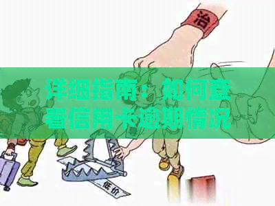 详细指南：如何查看信用卡逾期情况明细并解决常见问题