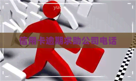 信用卡逾期求助公司电话