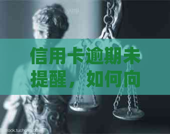 信用卡逾期未提醒，如何向银行投诉有效处理？