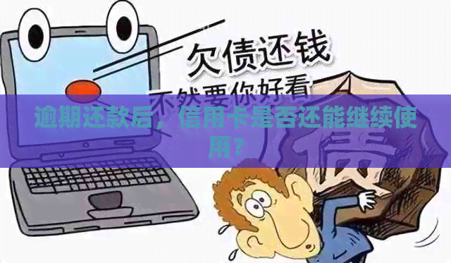 逾期还款后，信用卡是否还能继续使用？