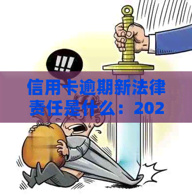 信用卡逾期新法律责任是什么：2021年与2020年的最新政策和规定