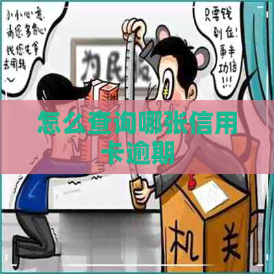 怎么查询哪张信用卡逾期