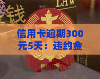 信用卡逾期300元5天：违约金计算及可能影响分析