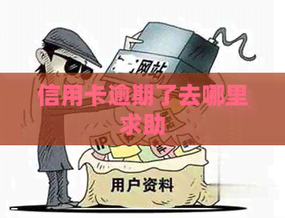 信用卡逾期了去哪里求助