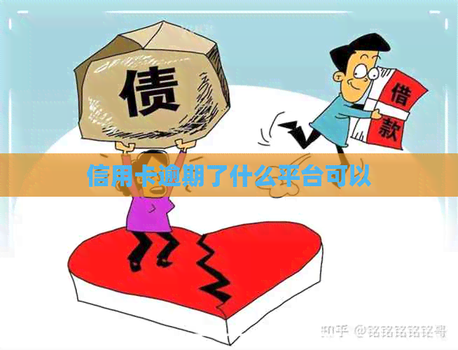 信用卡逾期了什么平台可以