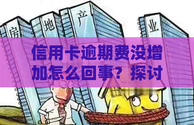 信用卡逾期费没增加怎么回事？探讨原因及影响