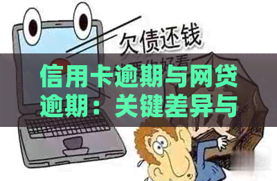 信用卡逾期与网贷逾期：关键差异与可能的后果分析