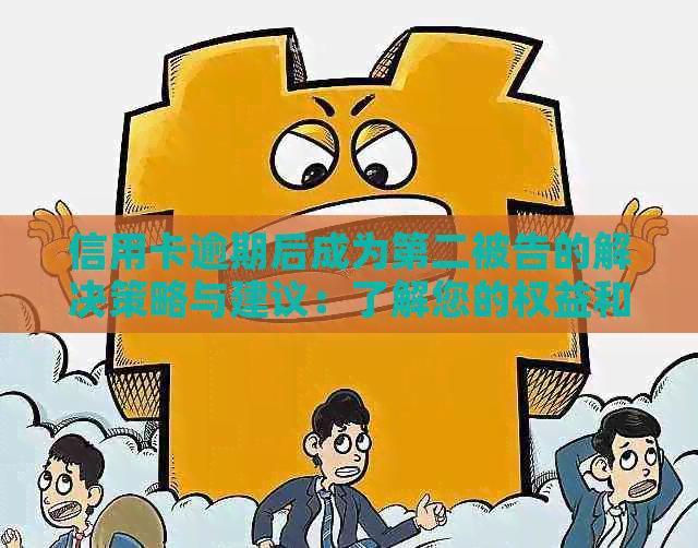 信用卡逾期后成为第二被告的解决策略与建议：了解您的权益和应对方法