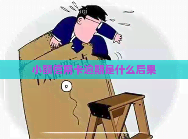 小额信用卡逾期是什么后果