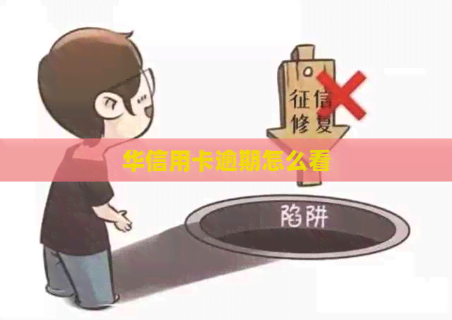 华信用卡逾期怎么看