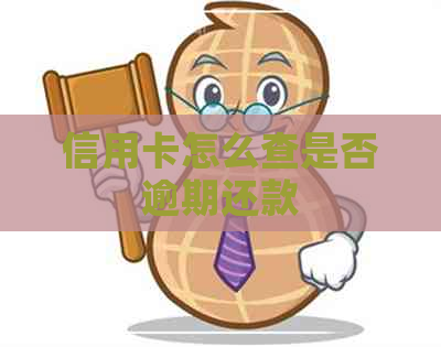 信用卡怎么查是否逾期还款