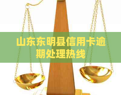 山东东明县信用卡逾期处理热线