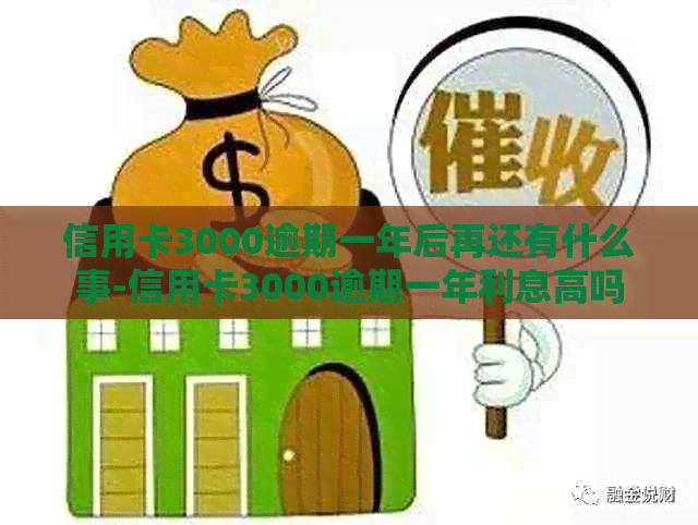 信用卡3000逾期一年后再还有什么事-信用卡3000逾期一年利息高吗