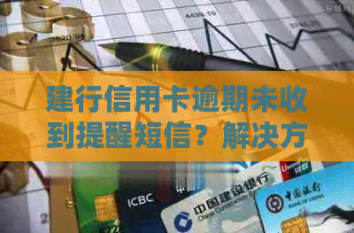 建行信用卡逾期未收到提醒短信？解决方案一网打尽！