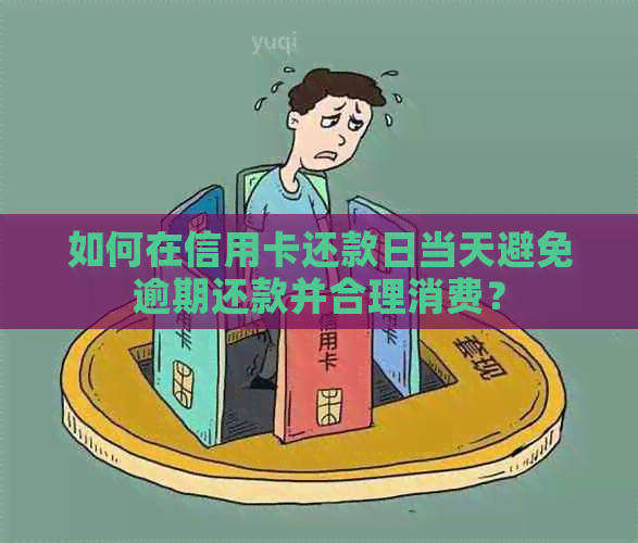 如何在信用卡还款日当天避免逾期还款并合理消费？