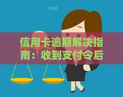 信用卡逾期解决指南：收到支付令后如何应对？