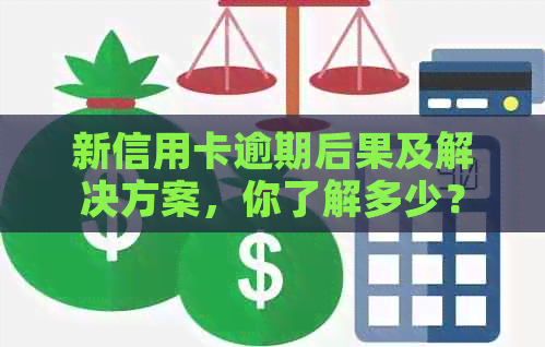 新信用卡逾期后果及解决方案，你了解多少？