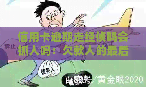 信用卡逾期走经侦吗会抓人吗：欠款人的最后出路是什么？