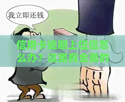 信用卡逾期上怎么办？这里有全面的解决方法和建议！